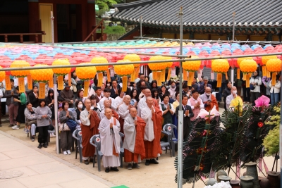 대표사진